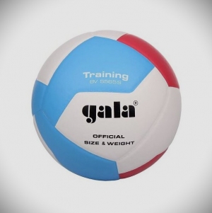 Míč volejbal Gala Training BV5565S 