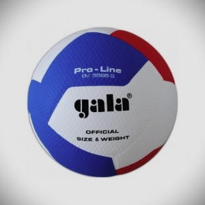 Míč volejbal Gala Pro-line BV5585S 